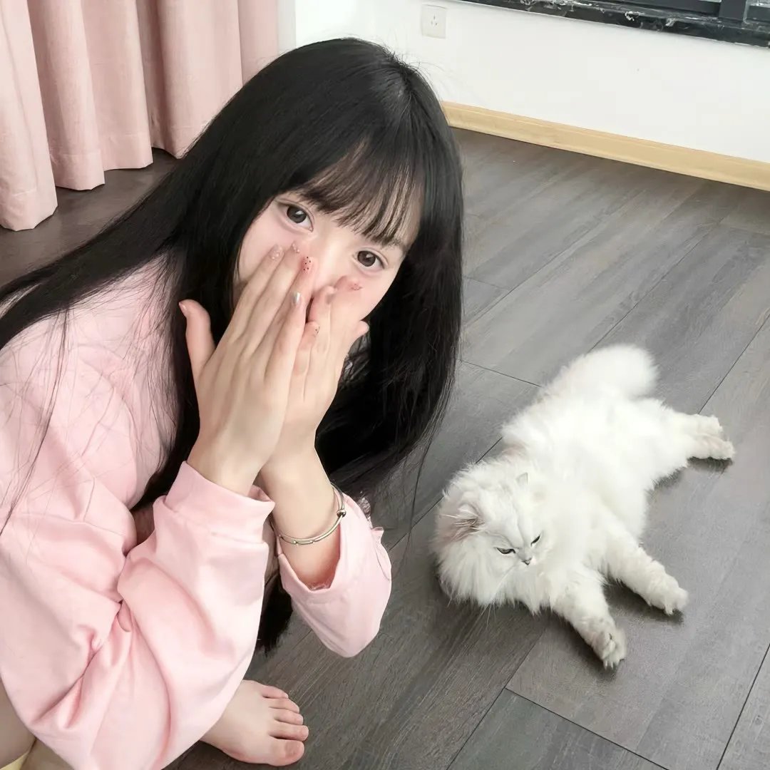 戴帽子的猫